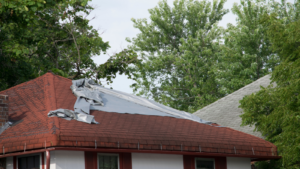 tree-related roof damage