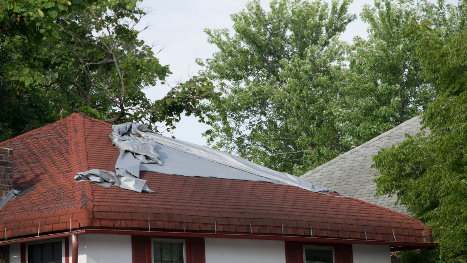 tree-related roof damage